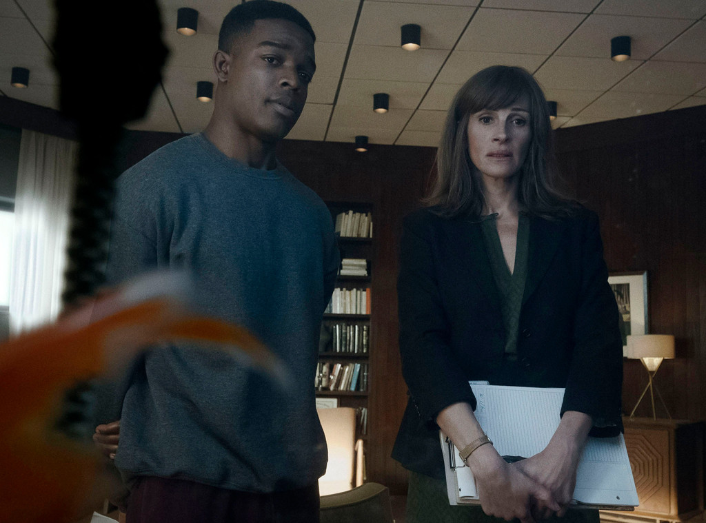 Stephan James, Julia Roberts, Homecoming